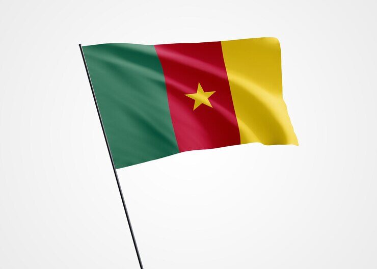 Business rentable au Cameroun : Voici dans quoi investir au Cameroun