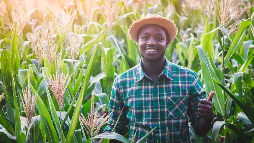 comment se lancer et réussir dans le business d'agriculture bio en Afrique