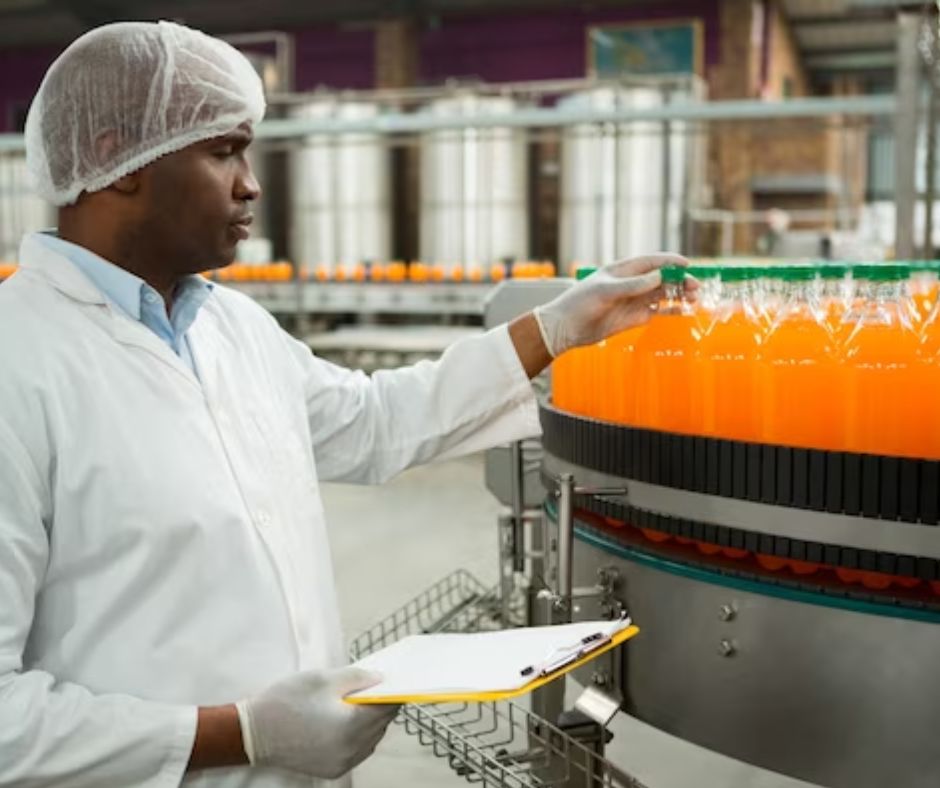 10 idées de business prometteurs dans l'agro-industrie en Afrique