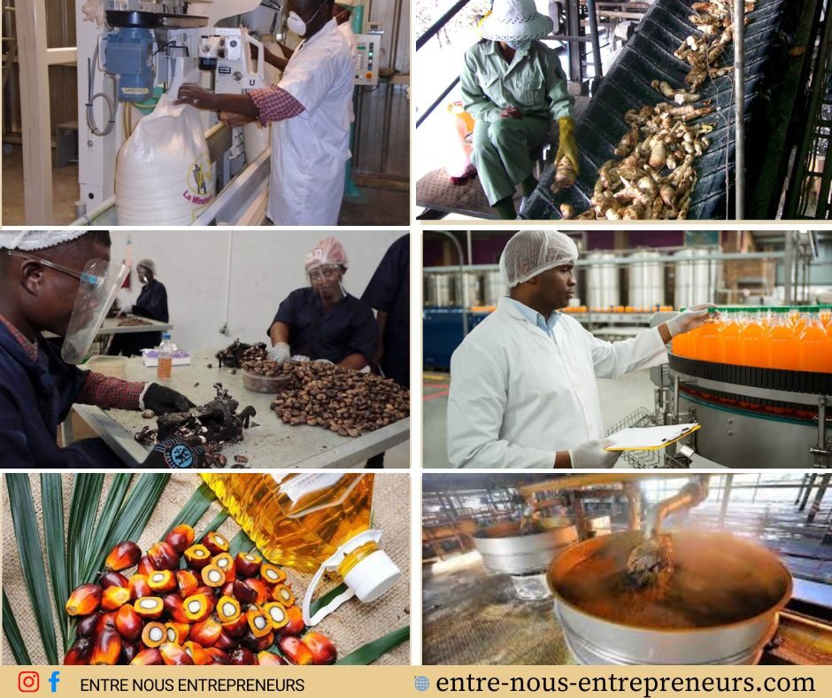 10 idées de business prometteurs dans l&rsquo;agro-industrie en Afrique