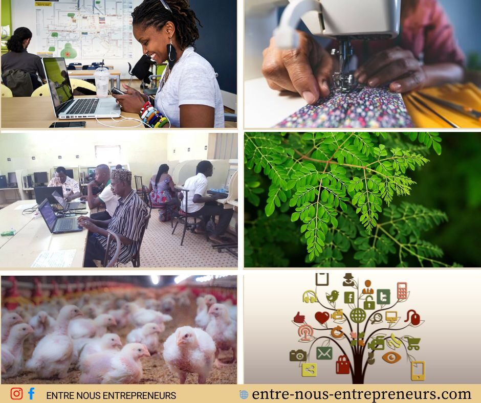 Business rentable au Burkina Faso : budget et comment se lancer