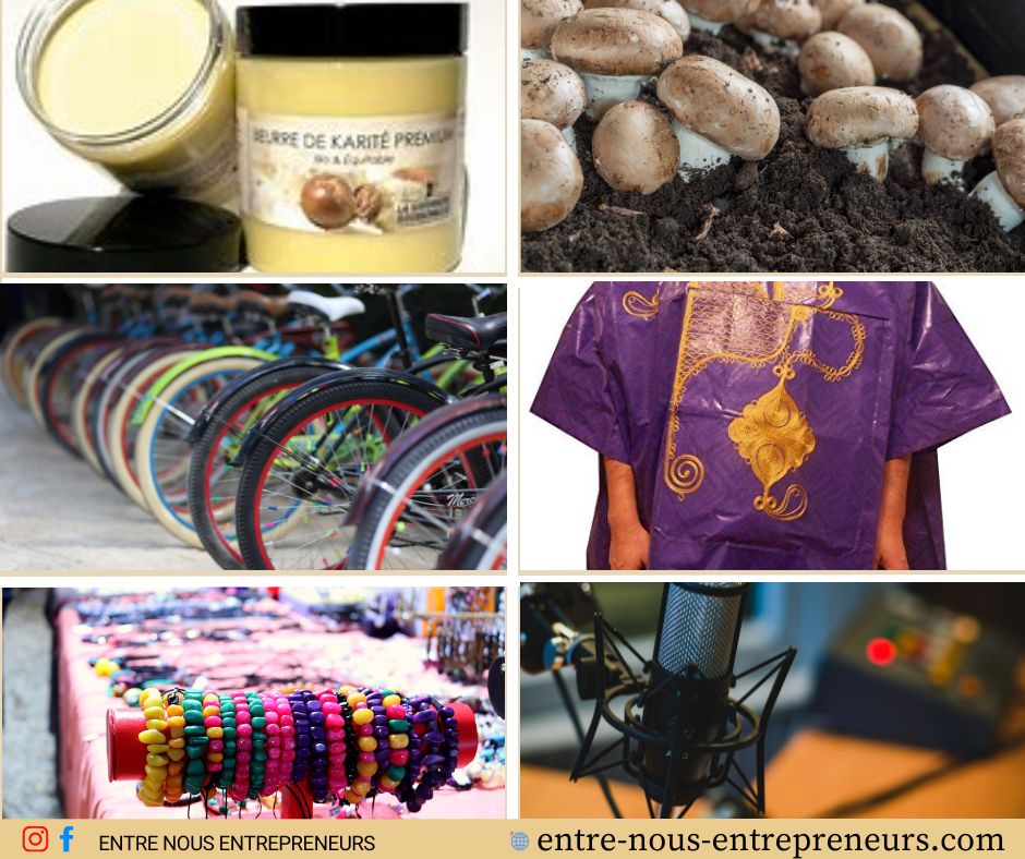 Business rentable au Mali  budget et comment se lancer