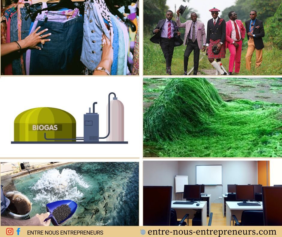 Business rentable en RDC : budget et comment se lancer