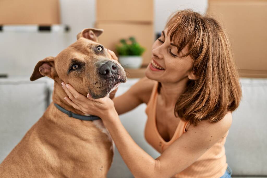 idées de petits projets : garde d'animaux 