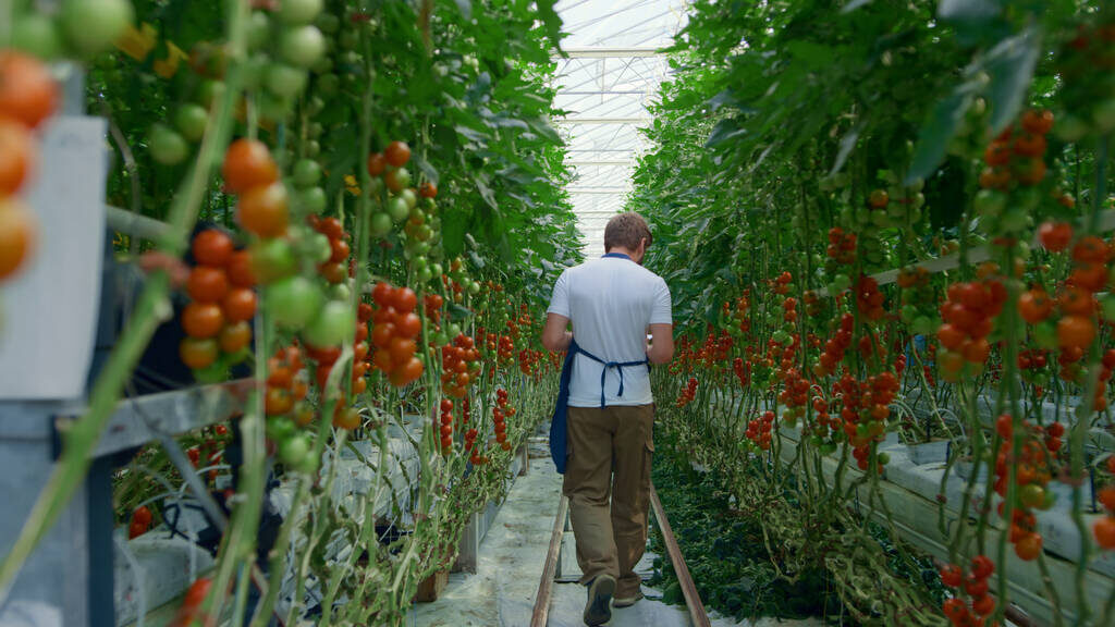 30 idées d&rsquo;entreprise dans le secteur agricole 