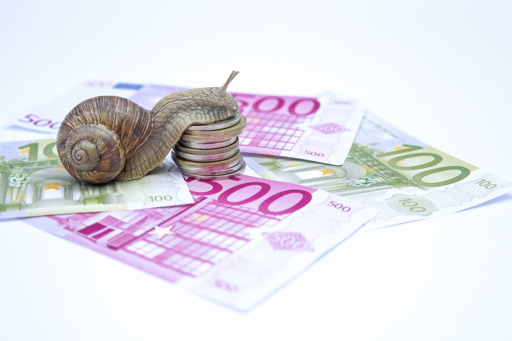 Rentabilité pour elevage des escargot