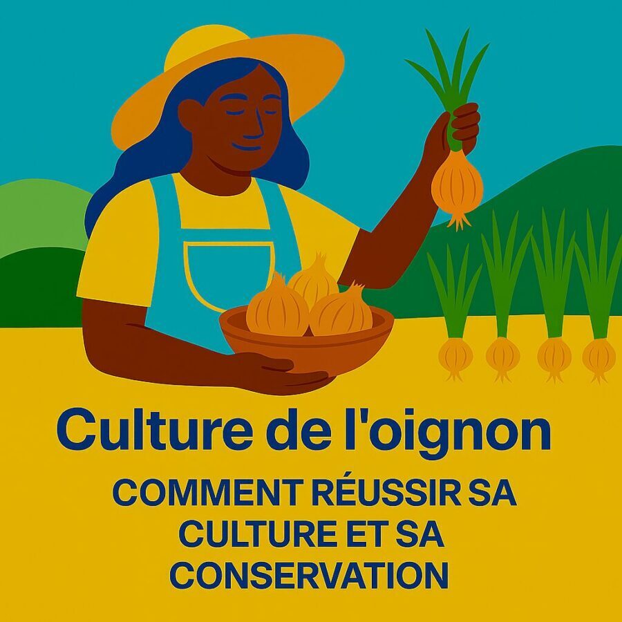 Culture de l’oignon : comment réussir sa culture et sa conservation