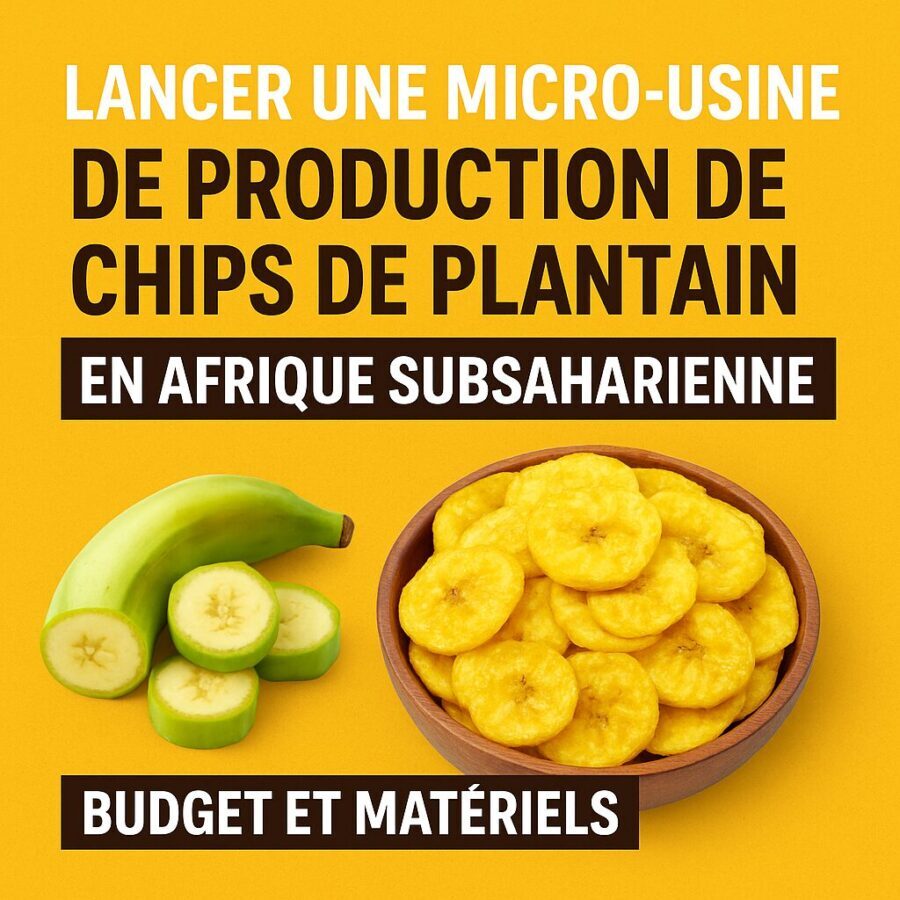 Comment se lancer dans la production de chips de plantain en Afrique : budget et matériels