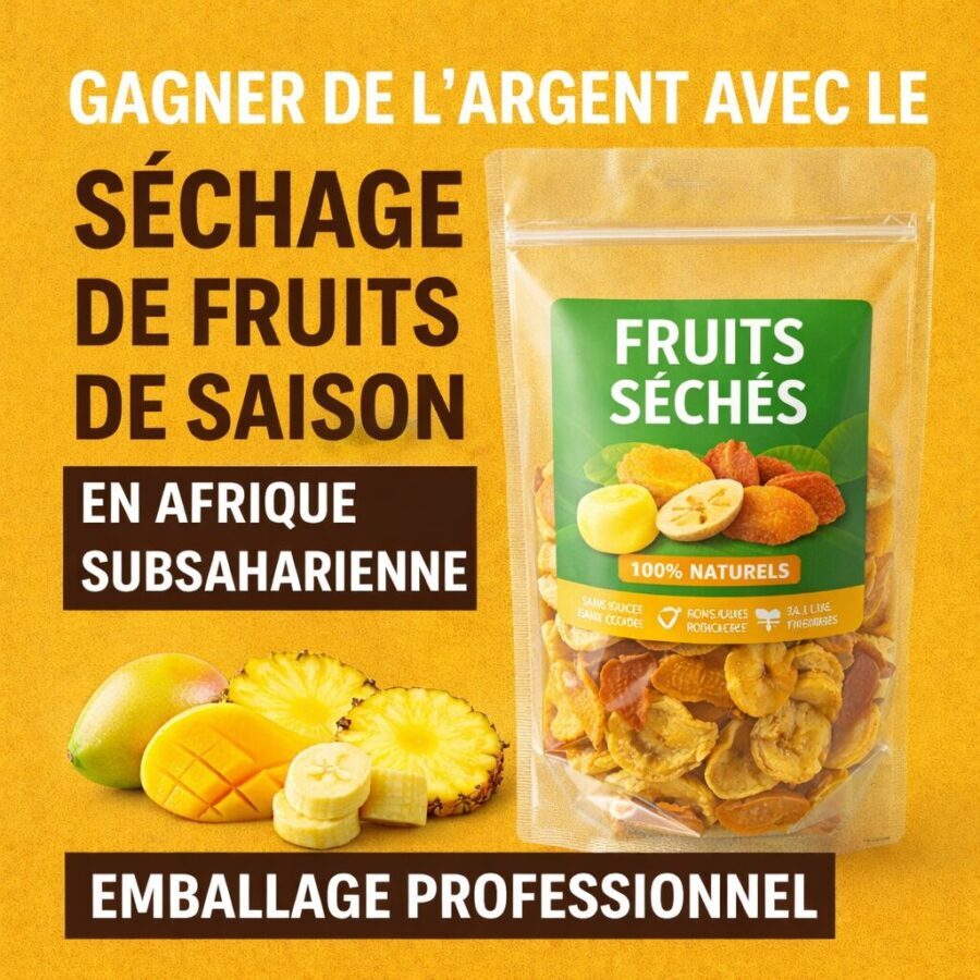 Comment gagner de l’argent avec le séchage de fruits de saison en Afrique : budget et matériels